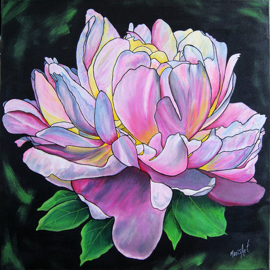 Nan's Peony - Honour (20" x 20")
