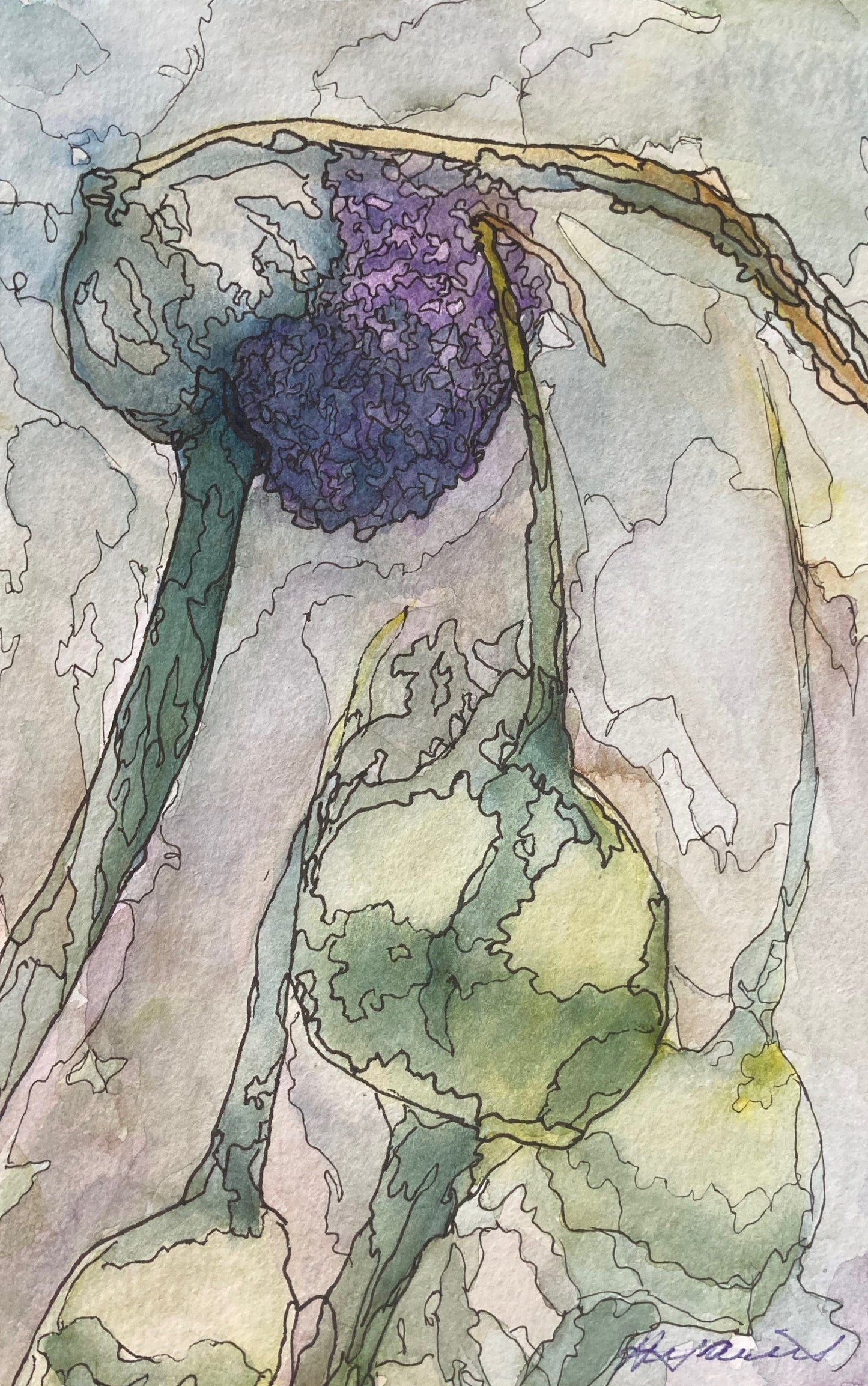 Onion Flowers (6" x 9")