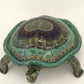Blandings Turtle