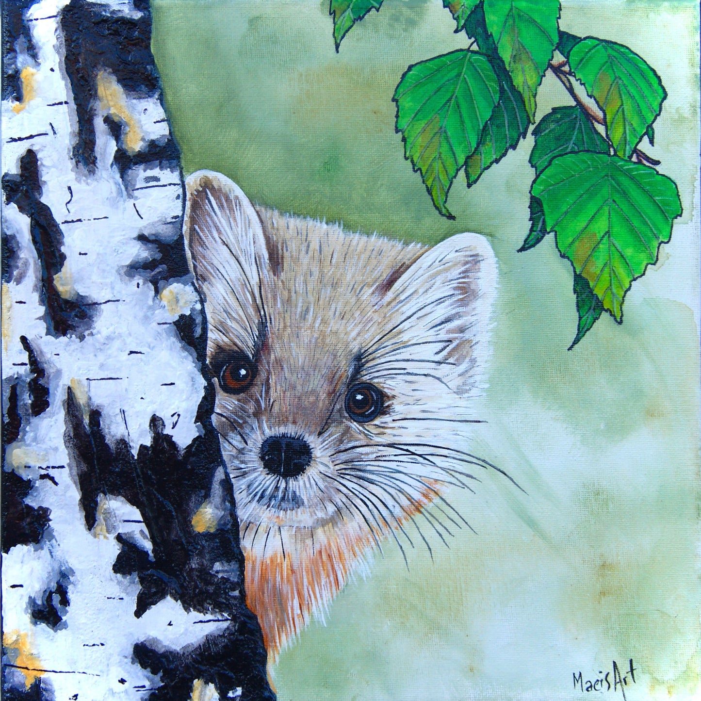 Whiskers the American Marten (12 x 12")