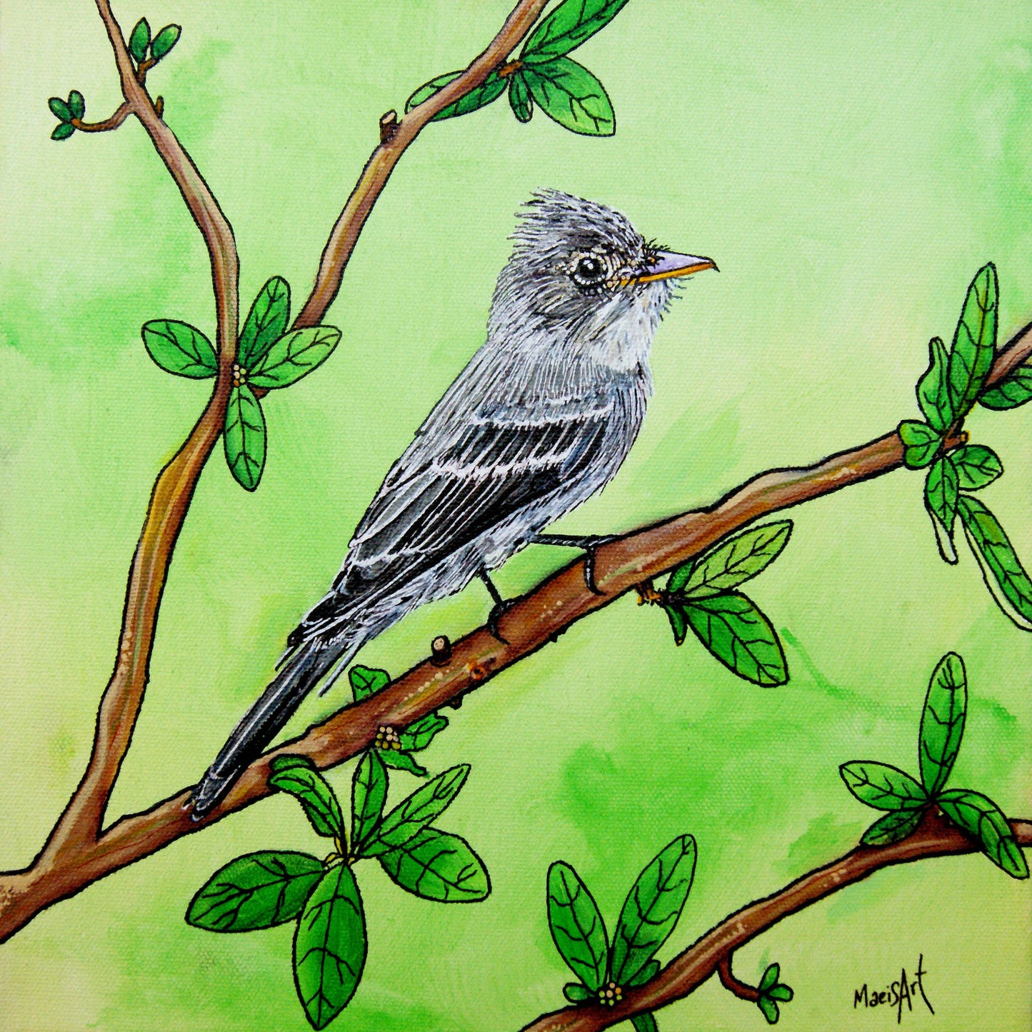 Gary, the Eastern Wood-pewee (12" x 12")